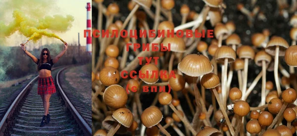 мескалин Баксан