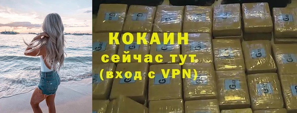 дживик Белокуриха