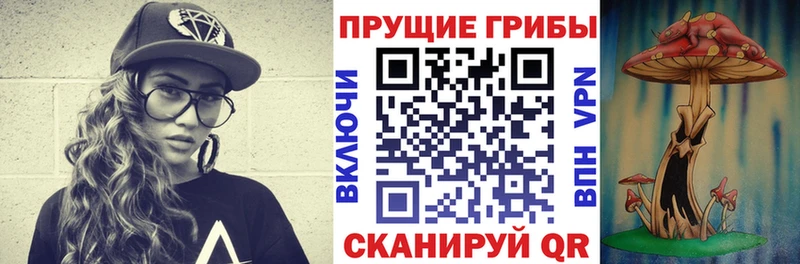 Галлюциногенные грибы Psilocybine cubensis Темрюк